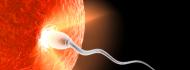 Male infertility Treament in Israel