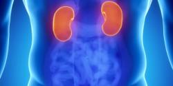 Kidney Cancer in Israel